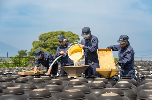 坂元のくろずができるまで | オンラインショップ | 坂元のくろず 公式