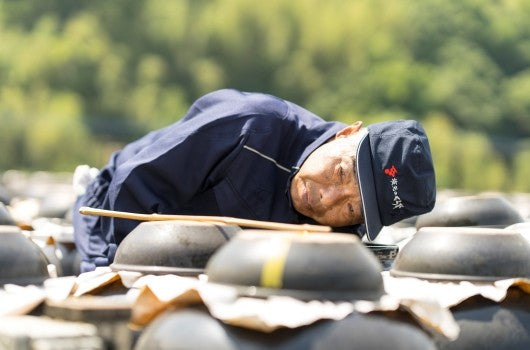 坂元のくろずができるまで | オンラインショップ | 坂元のくろず 公式